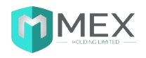 Mex Holding Limited