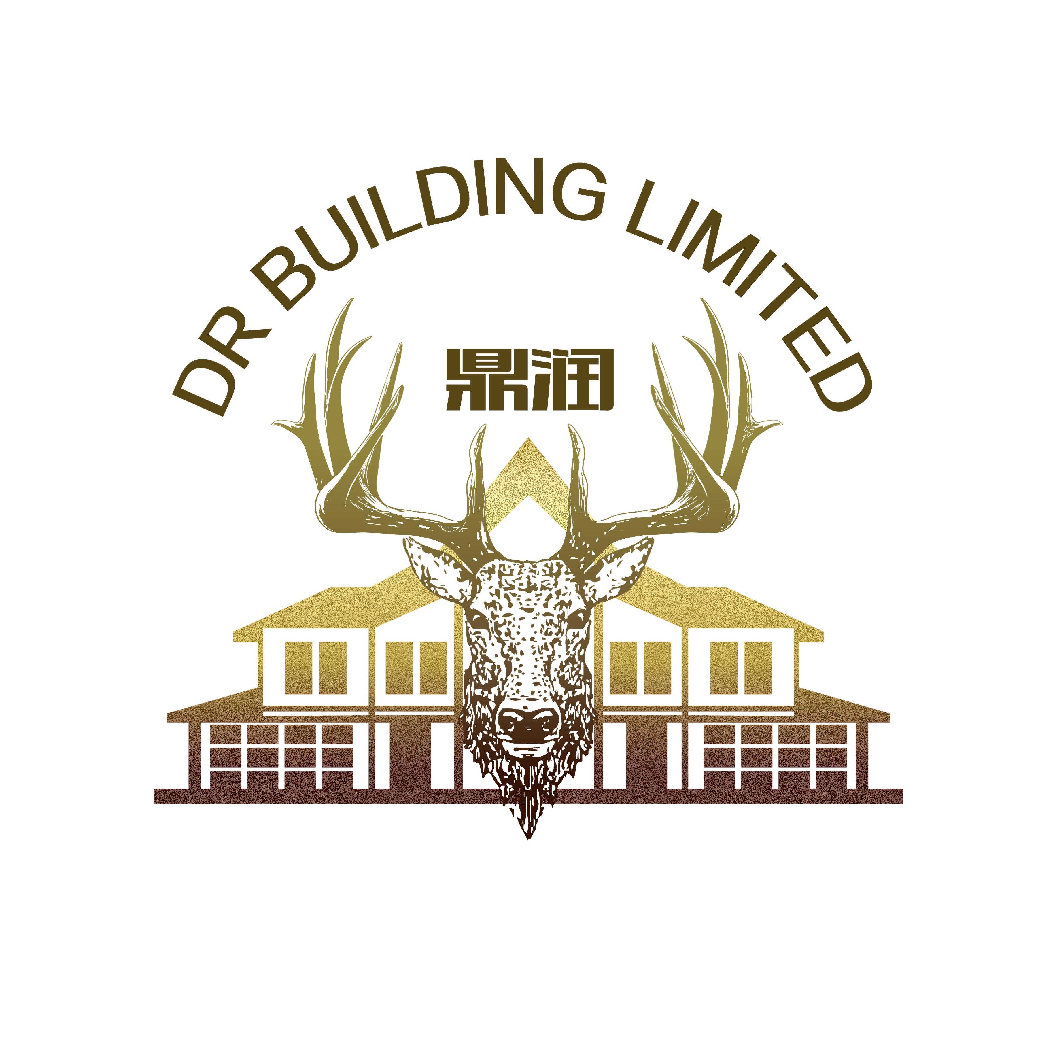 DR BUILDING LTD