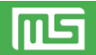 MS FINANCIAL SERVICE LIMITED