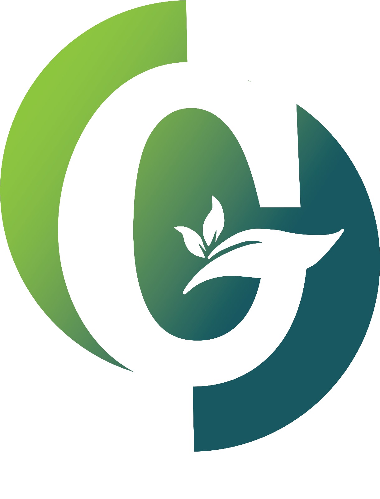 Greenland solution ltd