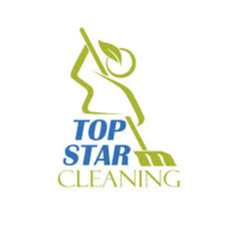 Top Star Services Ltd